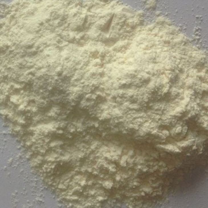 乾燥ガーリックパウダー