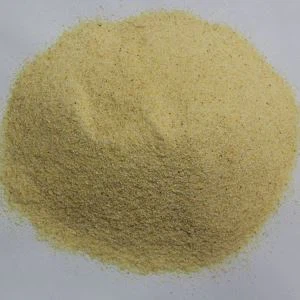 顆粒ニンニクバルク