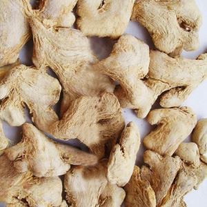乾燥ショウガ根