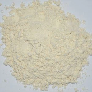 ガーリックパウダー ヘルシー