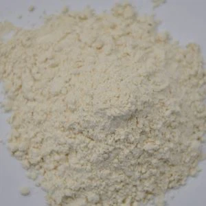 シンプルオーガニックガーリックパウダー